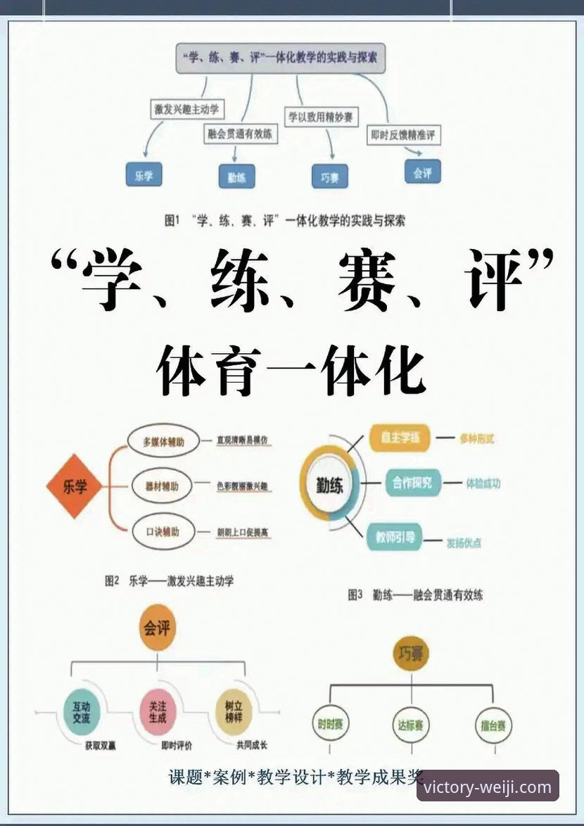 维基体育平台全面评测：下载安装与实战体验全解析
